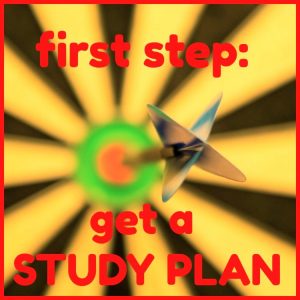 For DELE exam get a study plan
